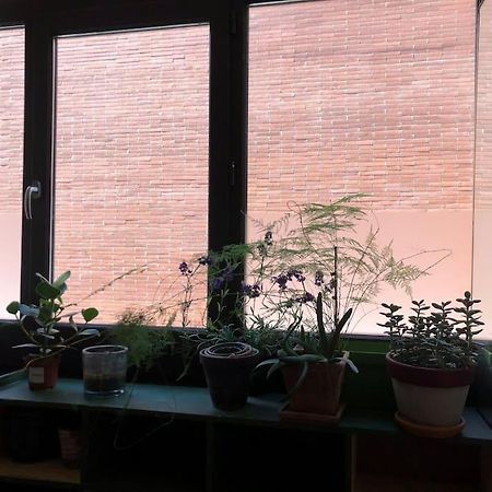 Logement De Charme Aux Carmes Toulouse Dış mekan fotoğraf