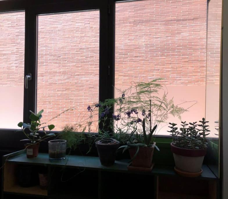 Logement De Charme Aux Carmes Toulouse Dış mekan fotoğraf